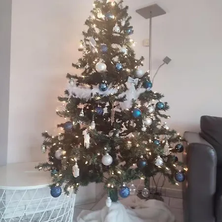 4-persoons Met Mooi Uitzicht 德帕内